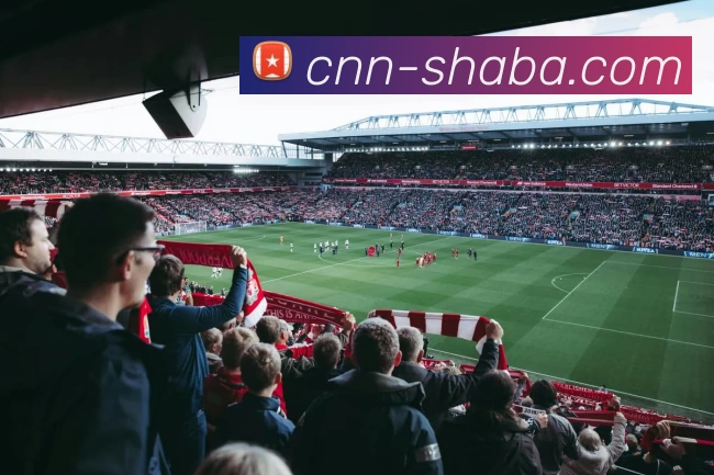 沙巴官方网站平台生态图